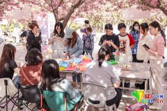 西京学院Q打制樱花树下的思政育h讲堂
